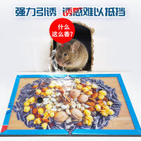 2025年度十款热门粘鼠板产品榜 居家防鼠，值得入手的强力推荐