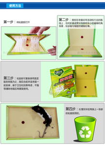 绿叶6张粘鼠板 家用灭鼠神器，安全高效告别鼠患